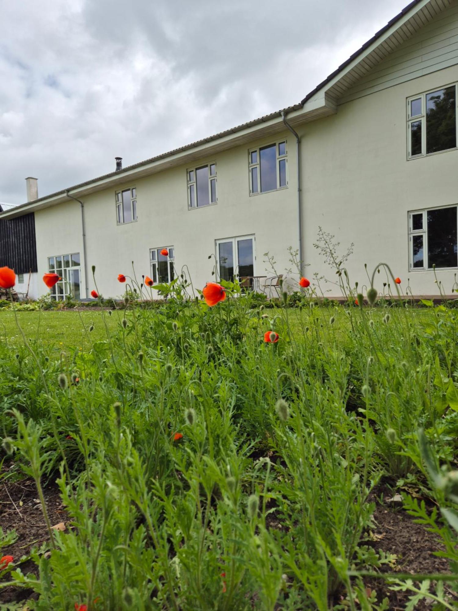Mols Bed & Breakfast Knebel 외부 사진
