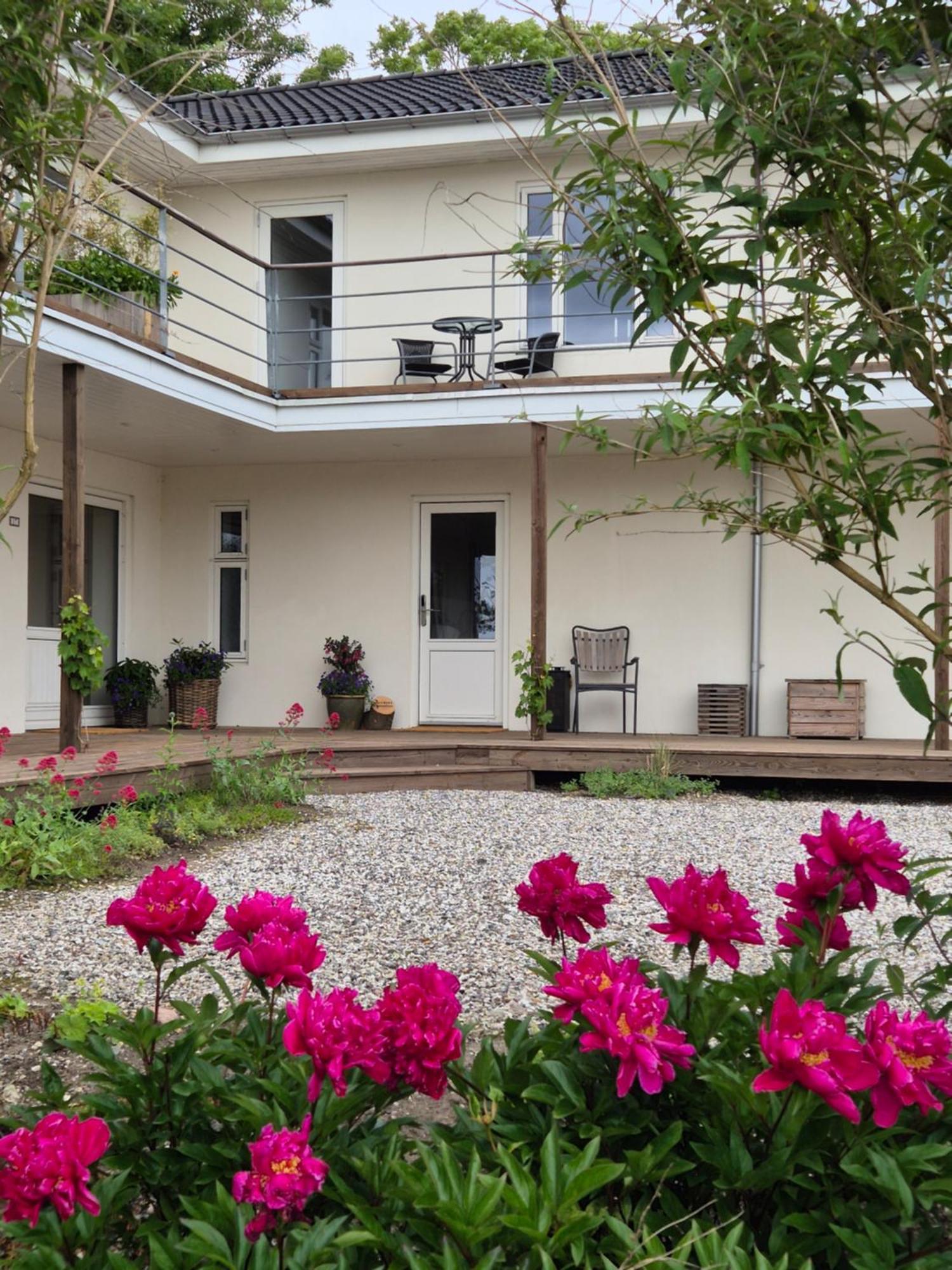 Mols Bed & Breakfast Knebel 외부 사진