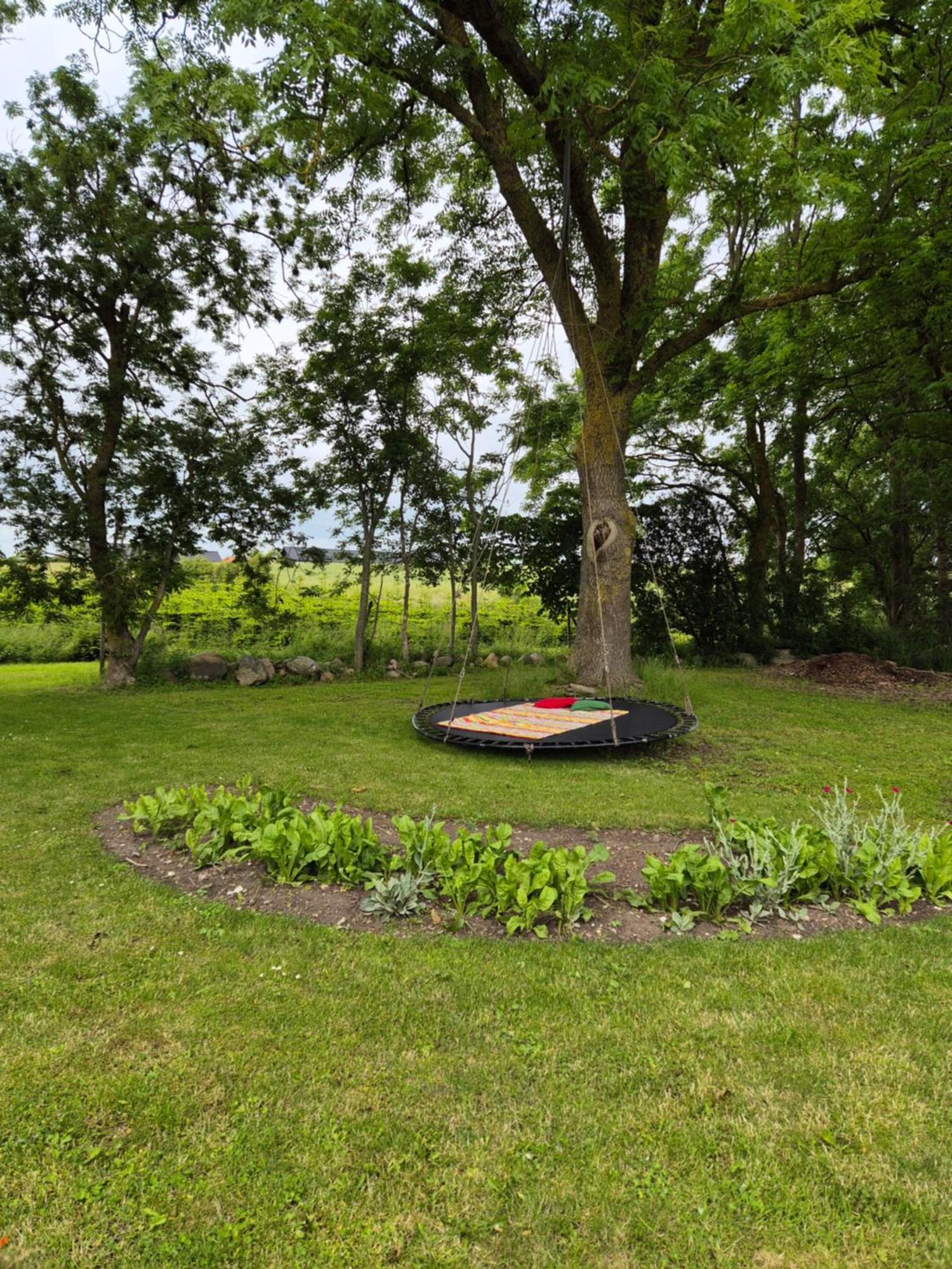 Mols Bed & Breakfast Knebel 외부 사진