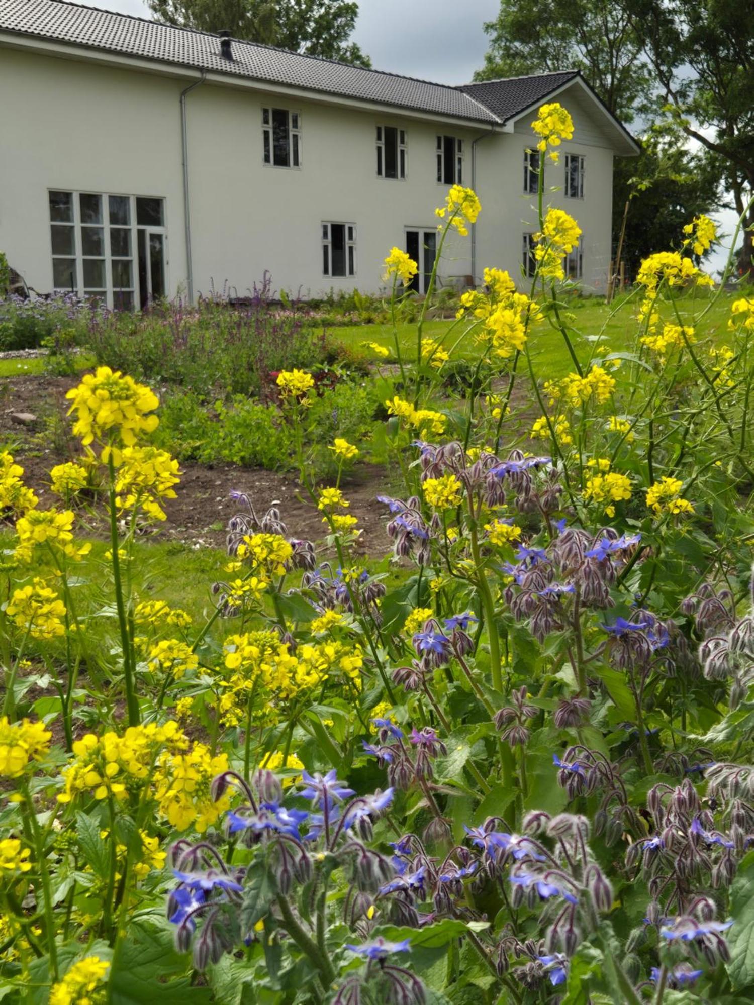Mols Bed & Breakfast Knebel 외부 사진